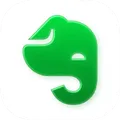 Логотип Evernote