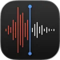Логотип Voice Memos