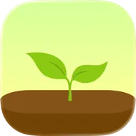 Logo Forest