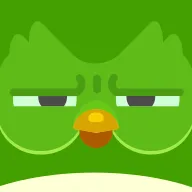 Duolingo — Pre-Streak Saver 5